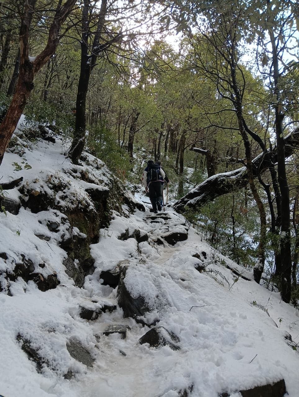 Pack and Go Community 5