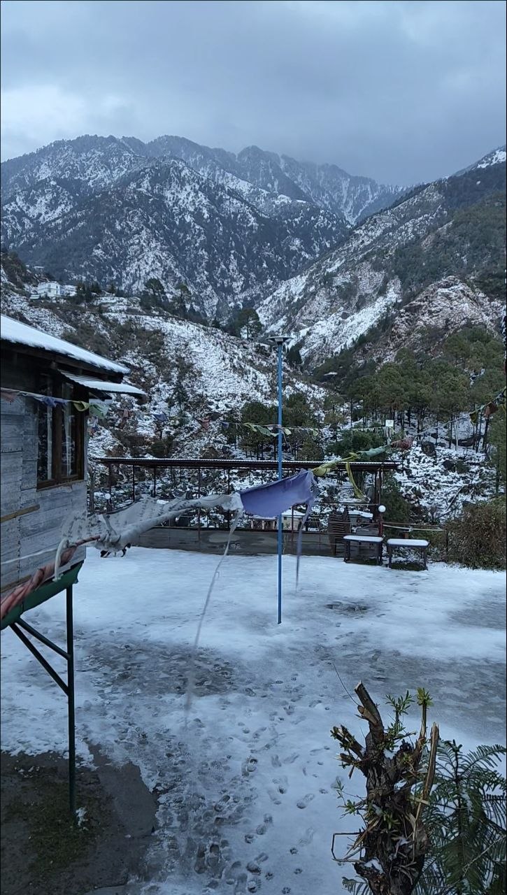 Pack and Go Community 6